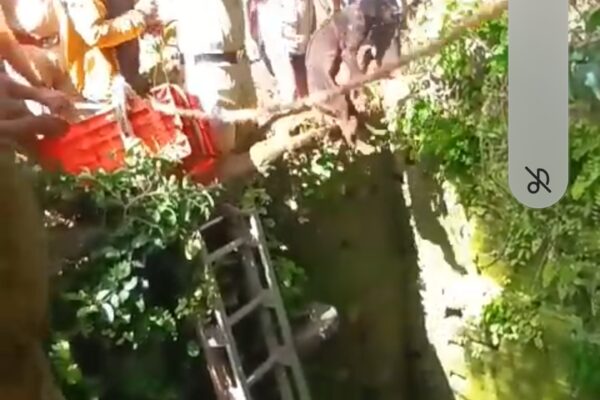 ನಂಬಿಗಸ್ತ ನಾಯಿ ರಕ್ಷಿಸಿದ ಅಗ್ನಿಶಾಮಕ ದಳ
